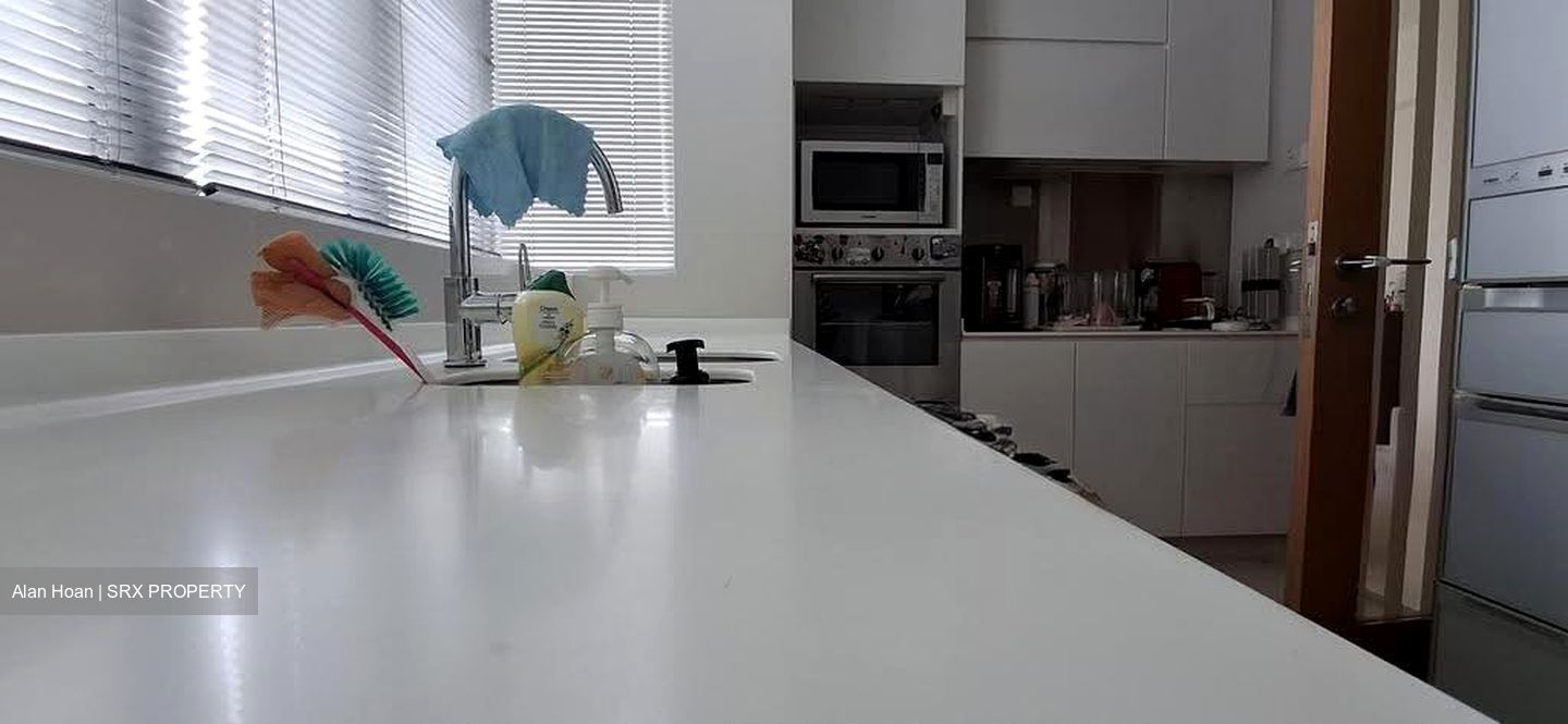 Park Infinia At Wee Nam (D11), Condominium #636372461